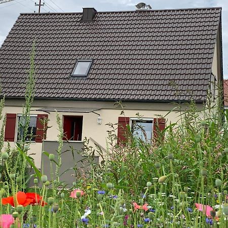 Ferienhaus Bei Lauingen, Mit Sauna Und Gartenlounge Veitriedhausen Extérieur photo