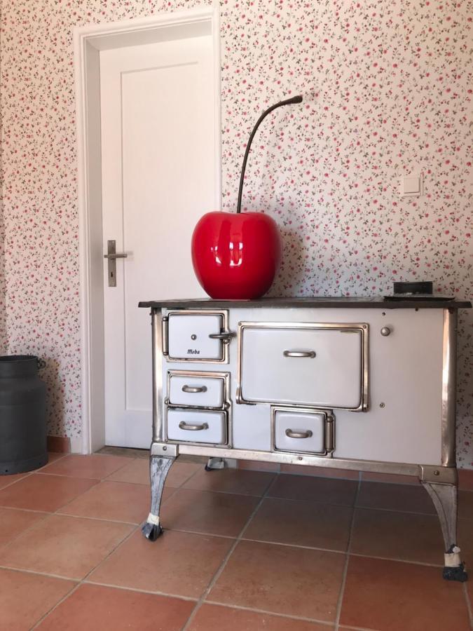 Ferienhaus Bei Lauingen, Mit Sauna Und Gartenlounge Veitriedhausen Extérieur photo