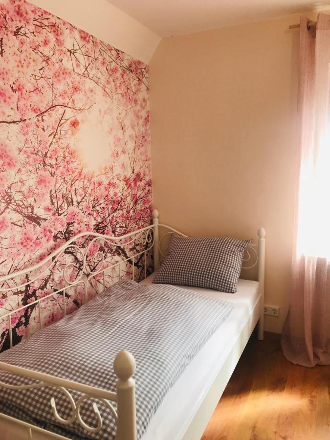 Ferienhaus Bei Lauingen, Mit Sauna Und Gartenlounge Veitriedhausen Extérieur photo