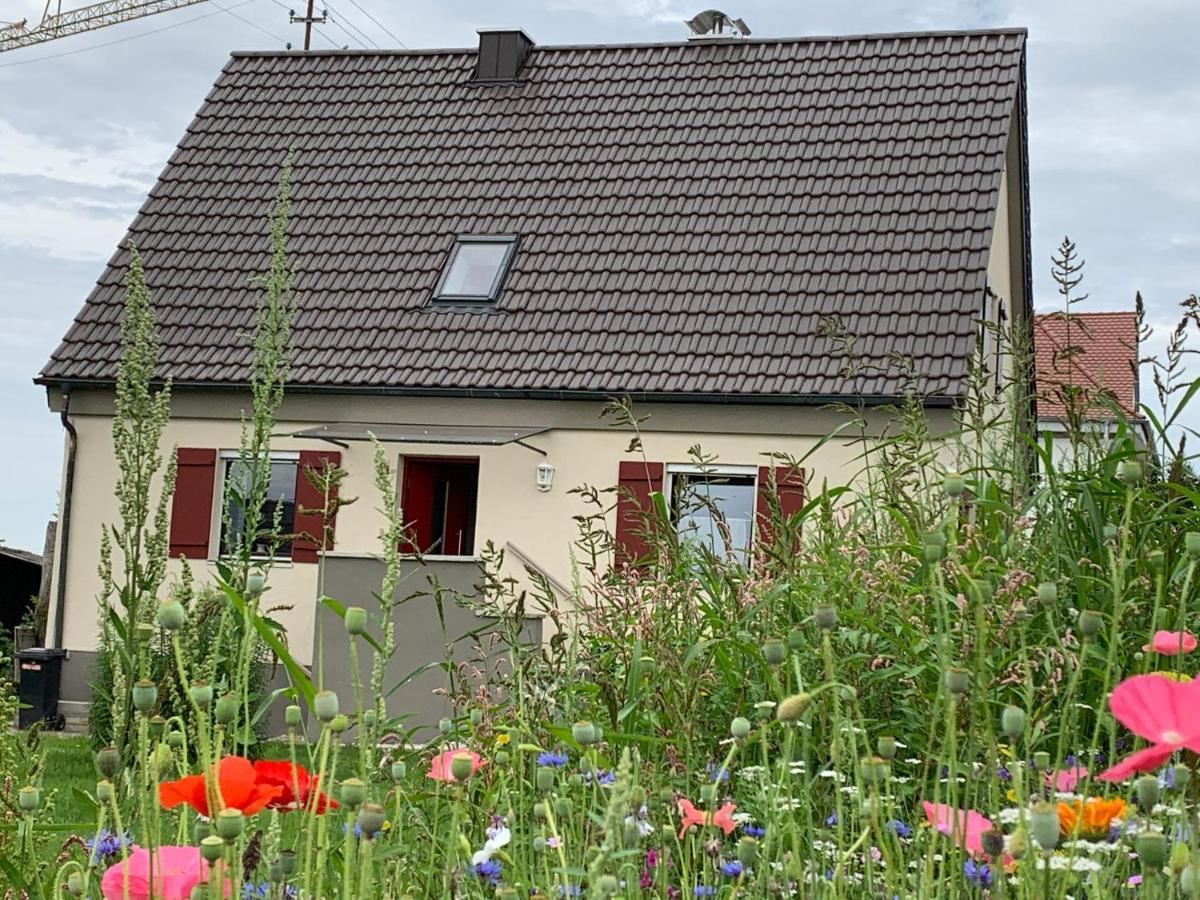 Ferienhaus Bei Lauingen, Mit Sauna Und Gartenlounge Veitriedhausen Extérieur photo
